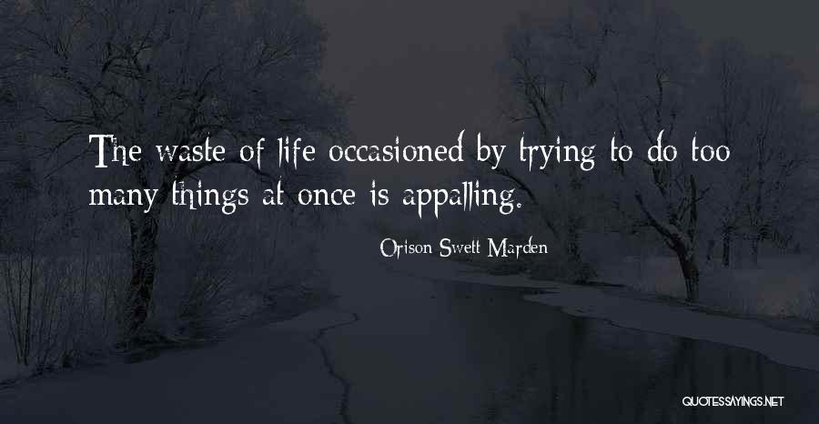 Marden Quotes By Orison Swett Marden