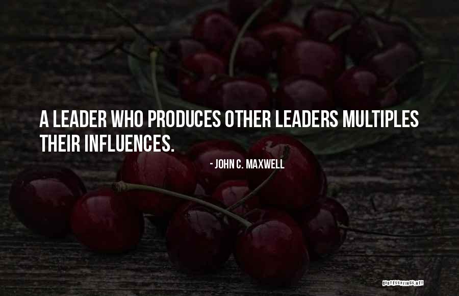 Mardini Multi Quotes By John C. Maxwell Mardini Multi Quotes By John C. Maxwell