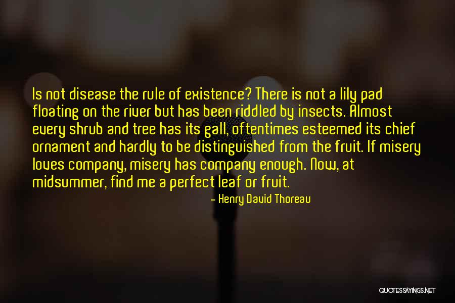 Mardos Cigar Quotes By Henry David Thoreau Mardos Cigar Quotes By Henry David Thoreau