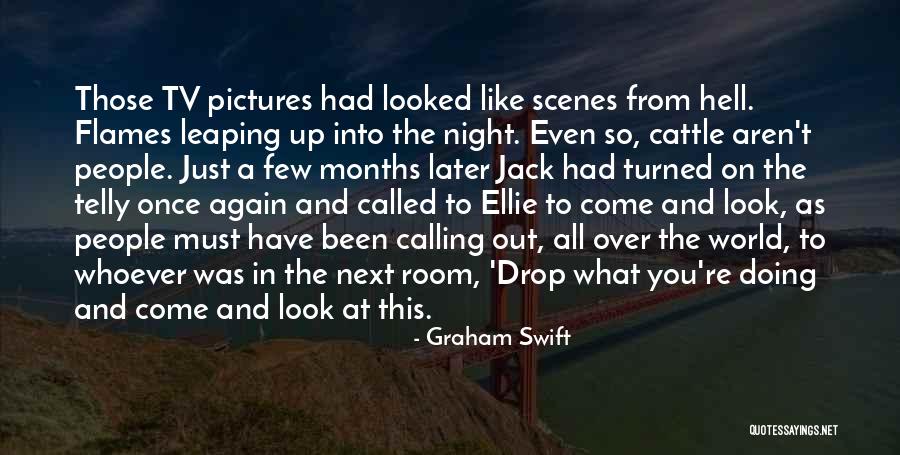 Mardou And Dean Quotes By Graham Swift Mardou And Dean Quotes By Graham Swift