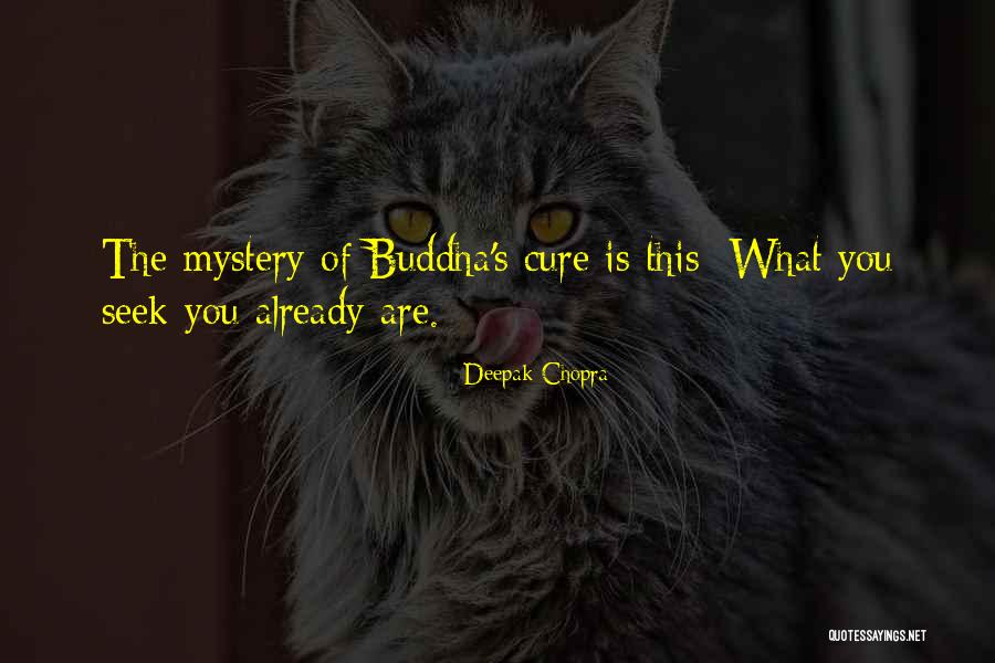 Maredith Spector Quotes By Deepak Chopra Maredith Spector Quotes By Deepak Chopra