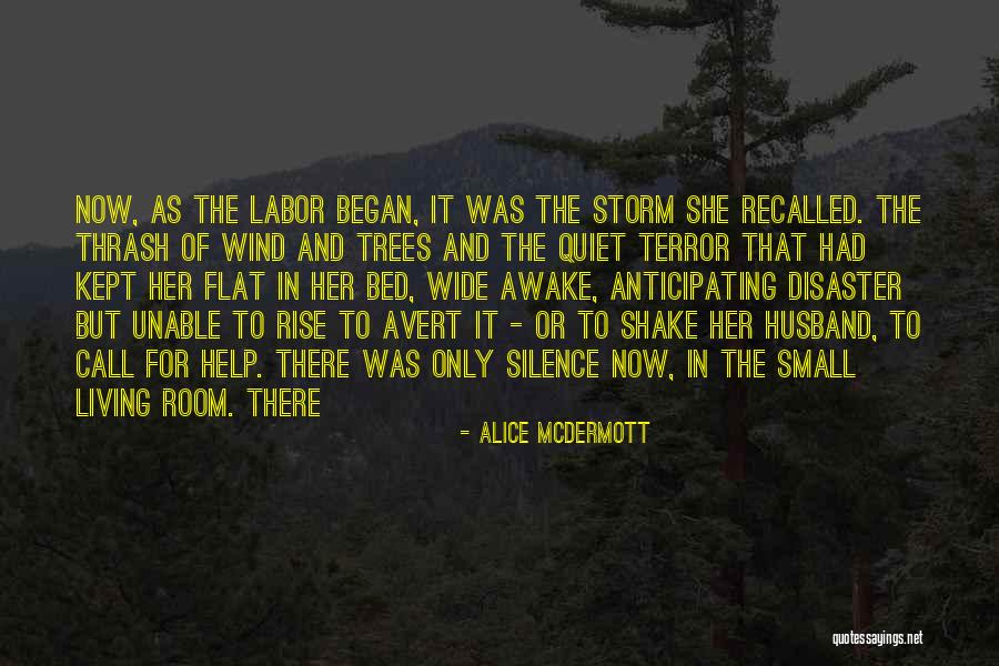 Mareggiata Youtube Quotes By Alice McDermott Mareggiata Youtube Quotes By Alice McDermott