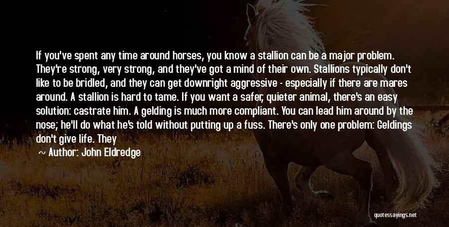 Mares Quotes By John Eldredge