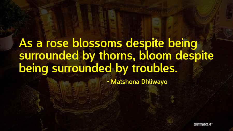 Marester1 Quotes By Matshona Dhliwayo Marester1 Quotes By Matshona Dhliwayo