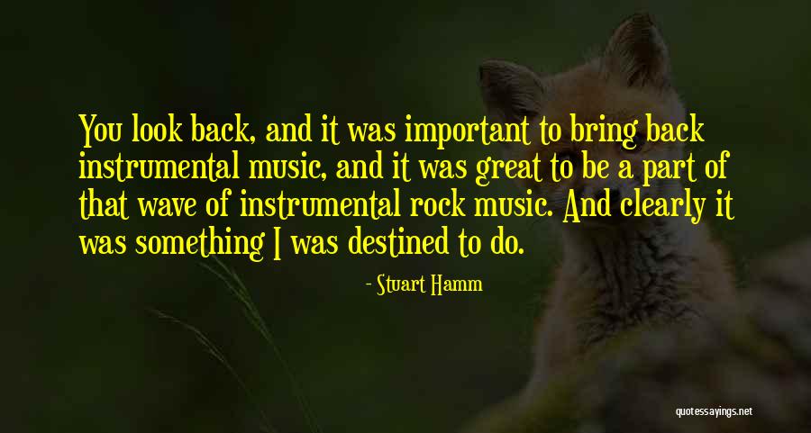 Marevan Quotes By Stuart Hamm Marevan Quotes By Stuart Hamm