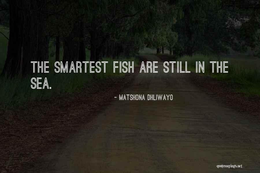 Marfim Origem Quotes By Matshona Dhliwayo Marfim Origem Quotes By Matshona Dhliwayo