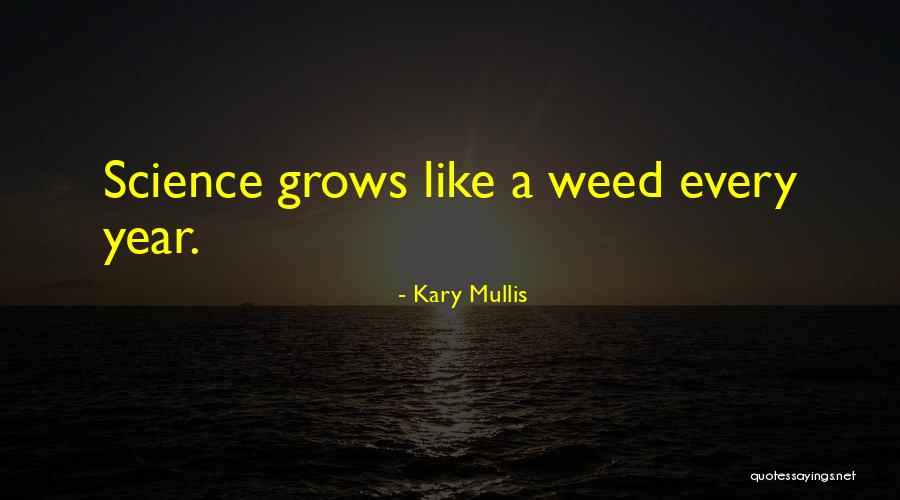 Margam Kali Quotes By Kary Mullis Margam Kali Quotes By Kary Mullis