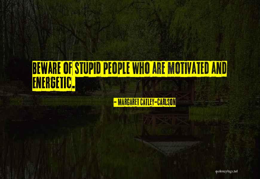 Margaret Catley-Carlson Quotes 1586593 Margaret Catley-Carlson Quotes 1586593