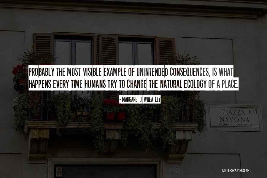 Margaret J. Wheatley Quotes 1068604 Margaret J. Wheatley Quotes 1068604