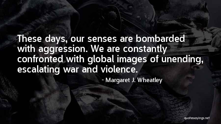 Margaret J. Wheatley Quotes 2116290