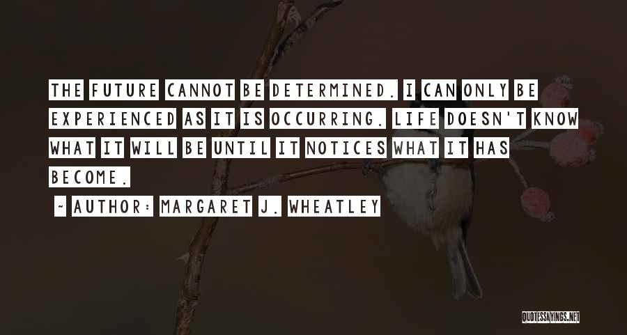 Margaret J. Wheatley Quotes 2248864