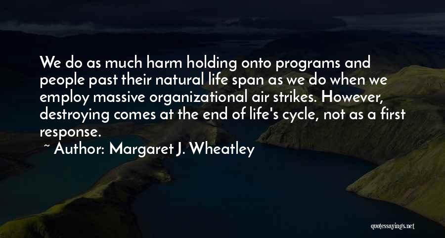 Margaret J. Wheatley Quotes 649644