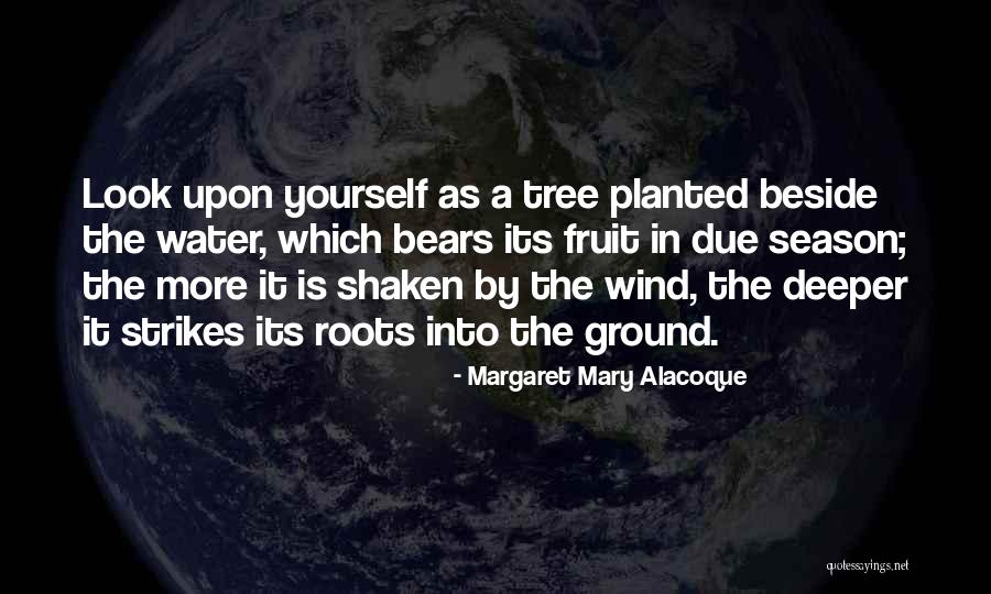 Margaret Mary Alacoque Quotes 918275 Margaret Mary Alacoque Quotes 918275