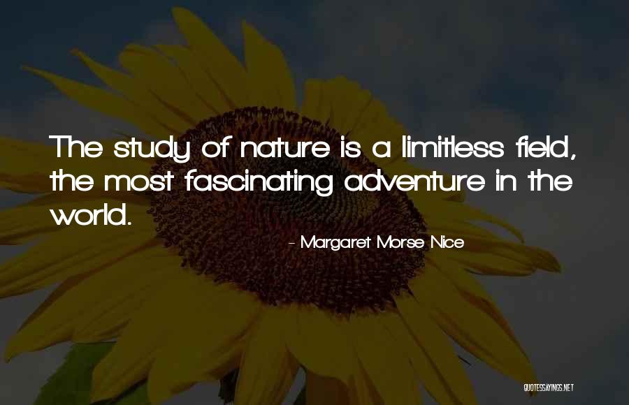Margaret Morse Nice Quotes 1859872 Margaret Morse Nice Quotes 1859872