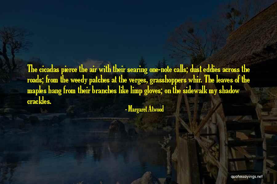 Margaret My Quotes By Margaret Atwood Margaret My Quotes By Margaret Atwood