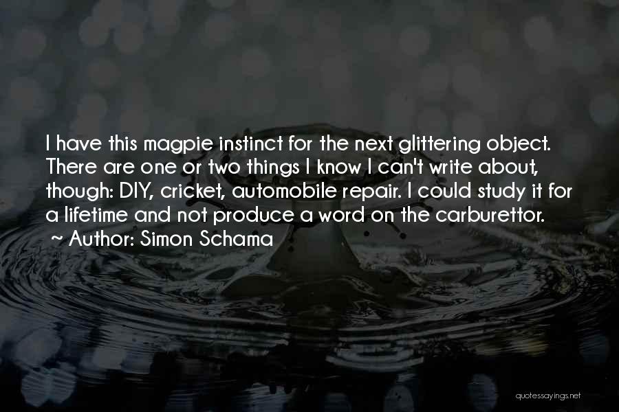 Margarita Drinks Quotes By Simon Schama