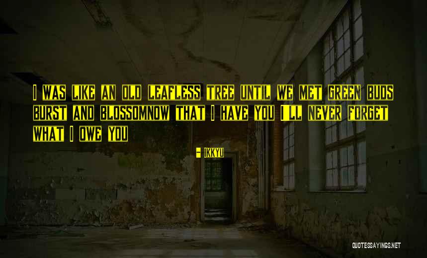 Margarytka Quotes By Ikkyu Margarytka Quotes By Ikkyu