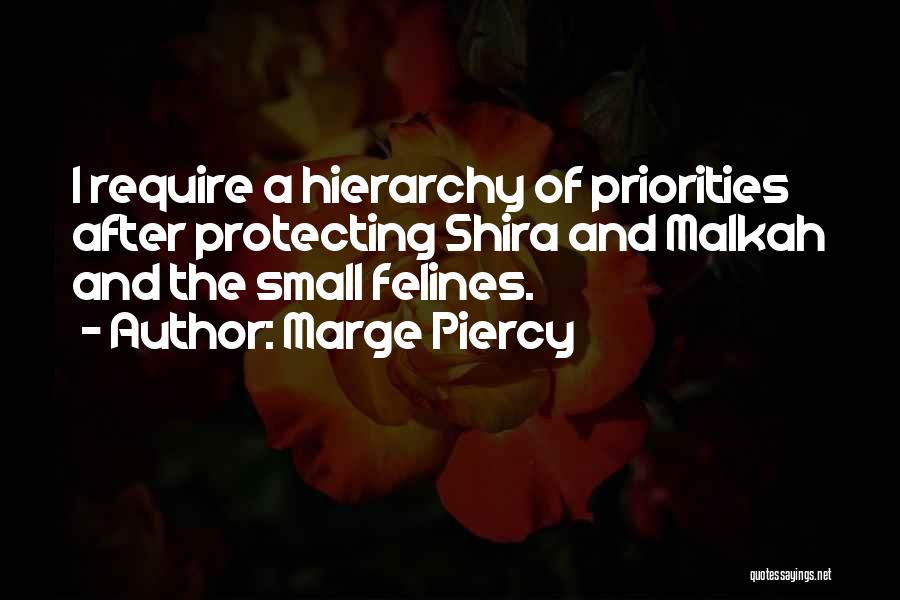 Marge Piercy Quotes 250085