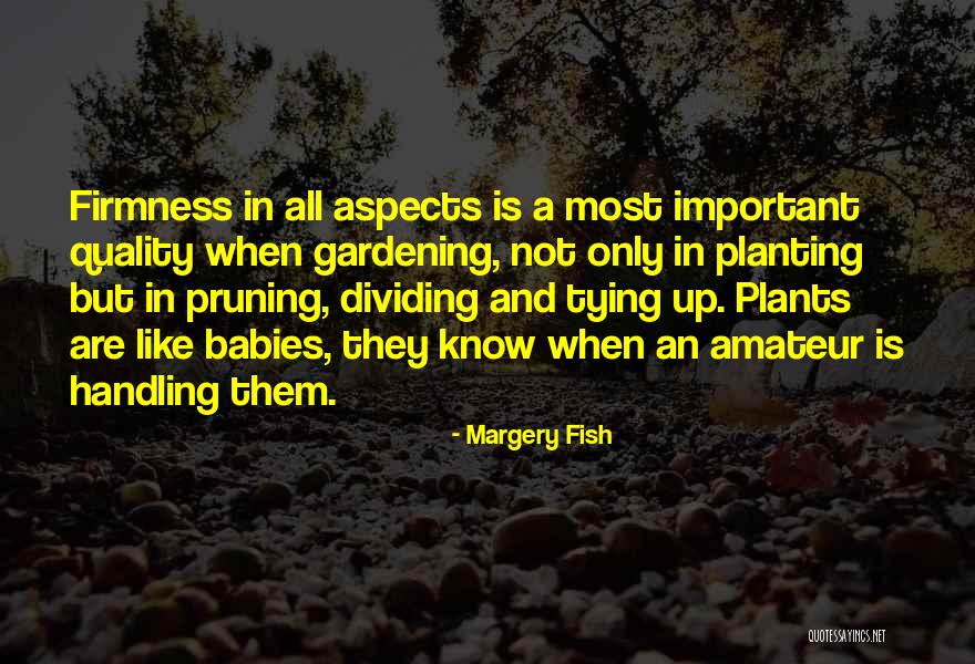Margery Quotes By Margery Fish Margery Quotes By Margery Fish