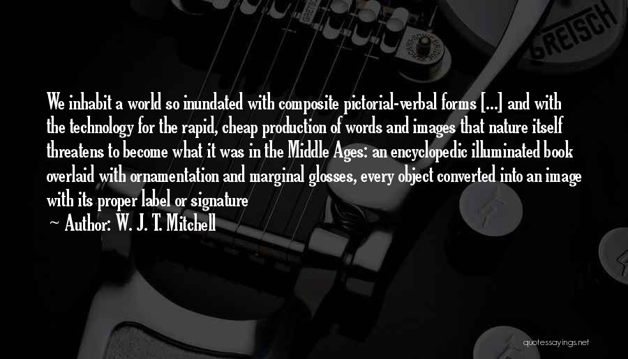 Marginal World Quotes By W. J. T. Mitchell