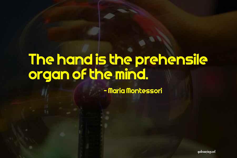 Marginality Hypothesis Quotes By Maria Montessori Marginality Hypothesis Quotes By Maria Montessori
