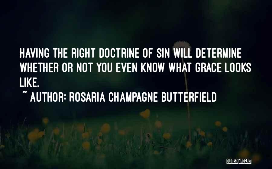 Margineni Quotes By Rosaria Champagne Butterfield