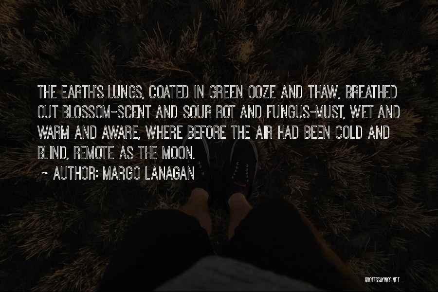 Margo Lanagan Quotes 1893664