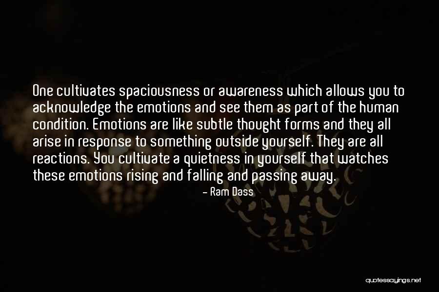 Margolis Vision Quotes By Ram Dass Margolis Vision Quotes By Ram Dass