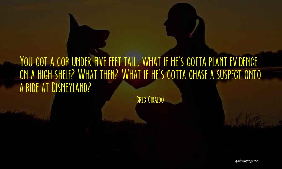 Margrete Den Quotes By Greg Giraldo Margrete Den Quotes By Greg Giraldo