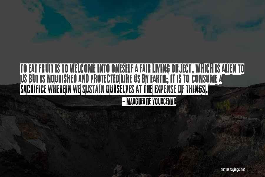 Marguerite Yourcenar Quotes 1554875 Marguerite Yourcenar Quotes 1554875