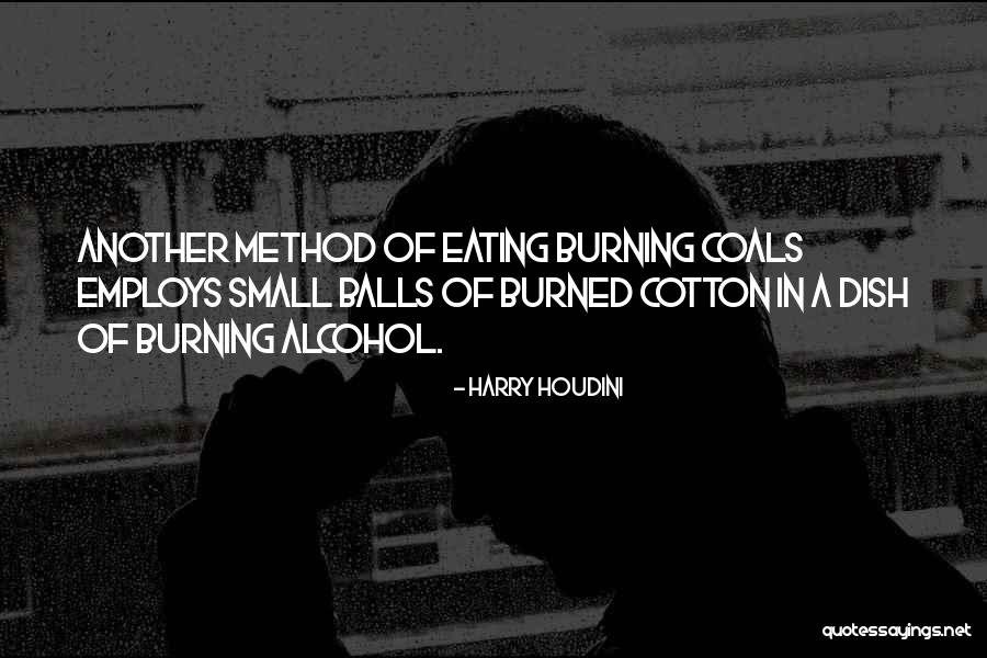 Margules Law Quotes By Harry Houdini Margules Law Quotes By Harry Houdini