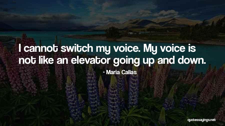 Maria Callas Quotes 1735057