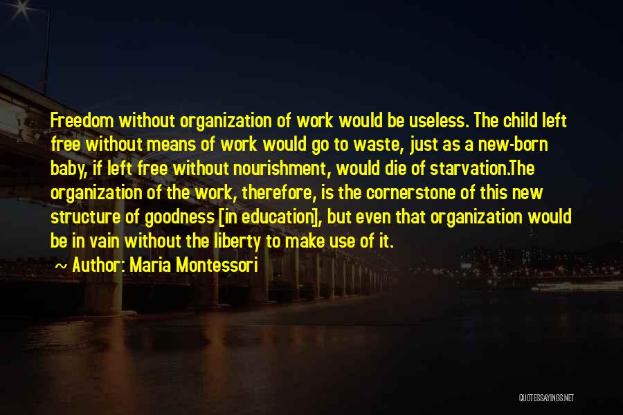 Maria Montessori Baby Quotes By Maria Montessori