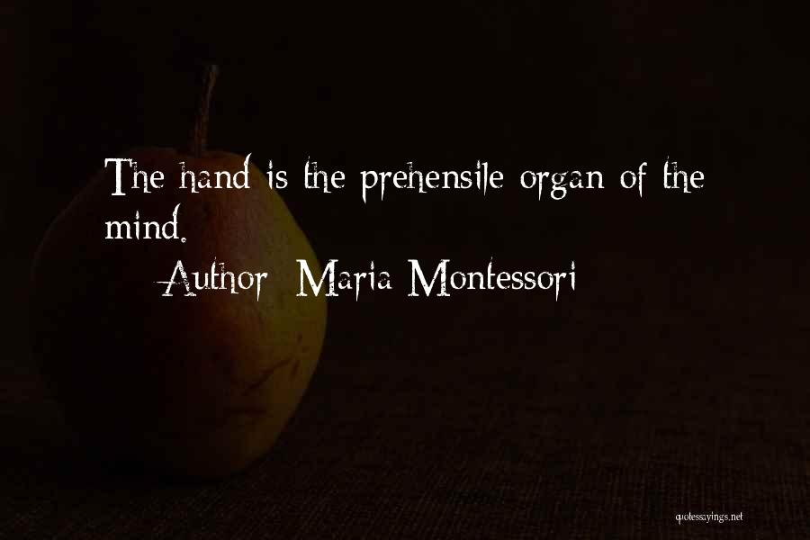 Maria Montessori Quotes 441810