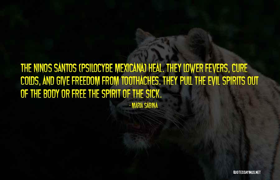 Maria Sabina Quotes 309419