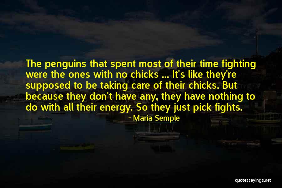 Maria Semple Quotes 1642865 Maria Semple Quotes 1642865