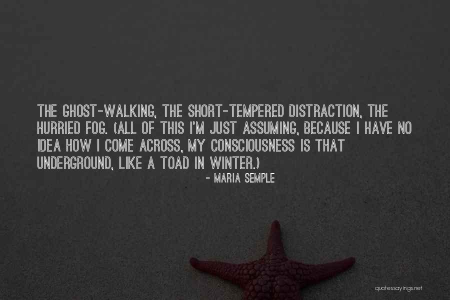 Maria Semple Quotes 359382 Maria Semple Quotes 359382