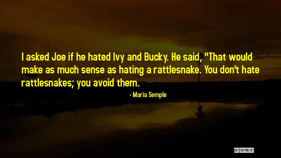 Maria Semple Quotes 867809