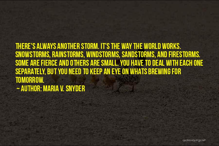 Maria Snyder Quotes By Maria V. Snyder