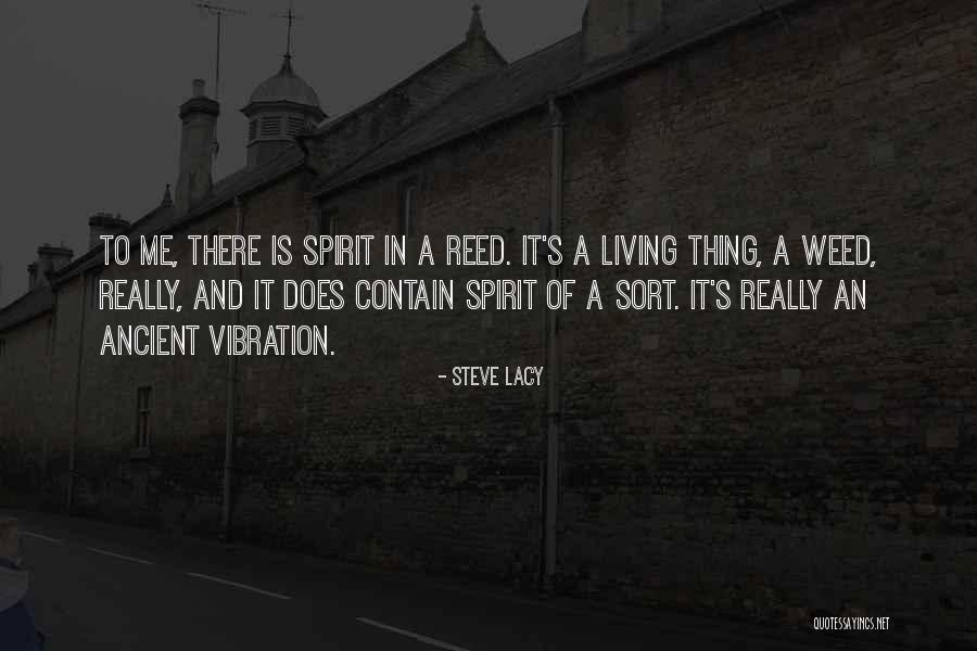 Maria Teresa De Filippis Quotes By Steve Lacy Maria Teresa De Filippis Quotes By Steve Lacy