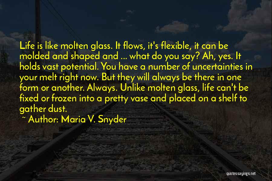 Maria V. Snyder Quotes 1194855