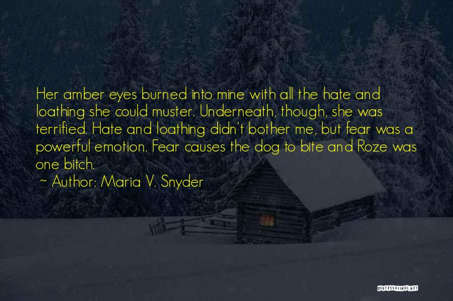 Maria V. Snyder Quotes 2085999