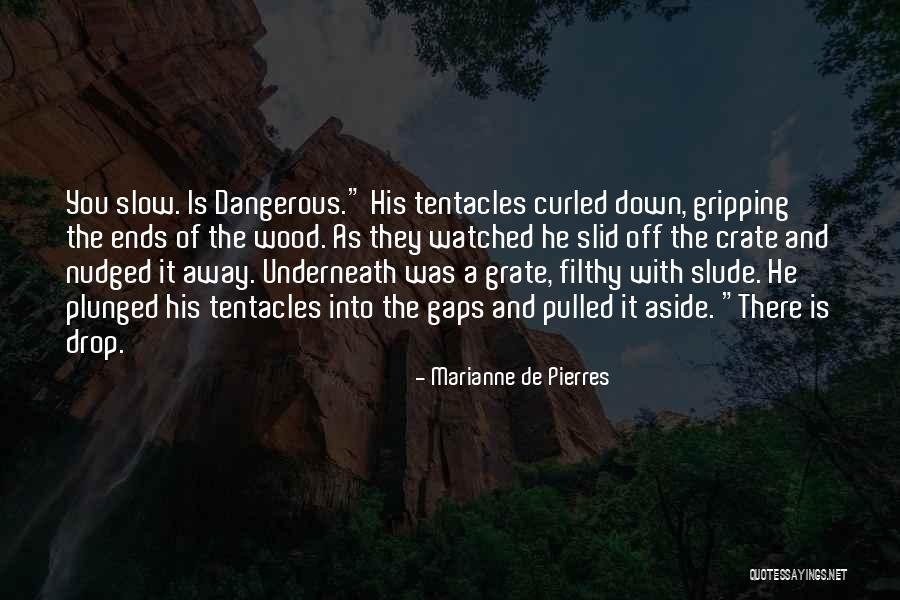 Marianne De Pierres Quotes 232181 Marianne De Pierres Quotes 232181