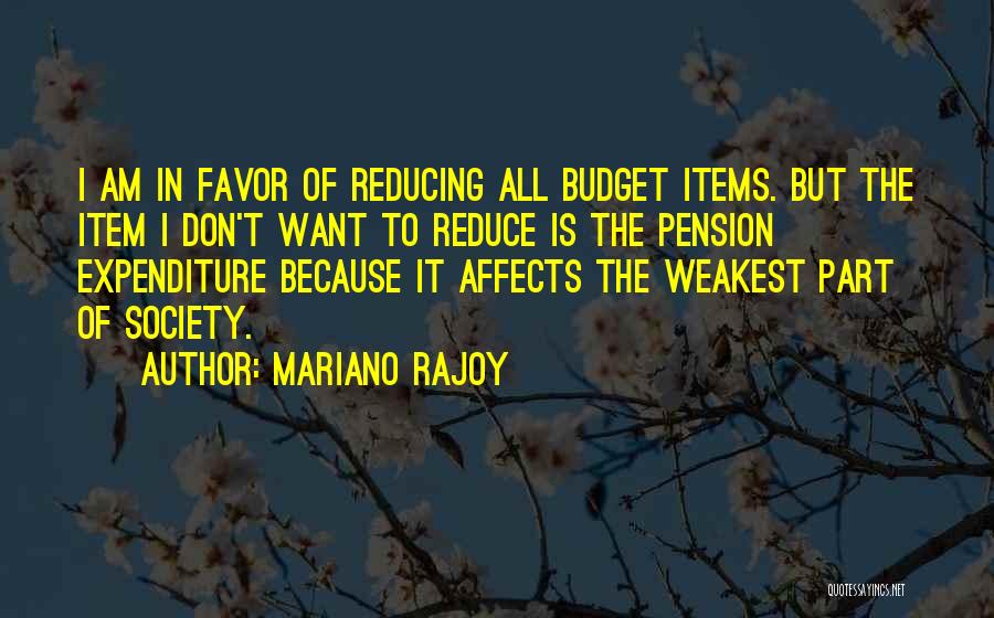 Mariano Rajoy Quotes 2097394