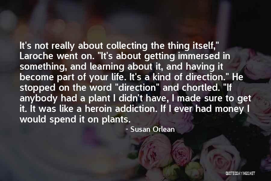 Marians Medical Supplies Quotes By Susan Orlean Marians Medical Supplies Quotes By Susan Orlean