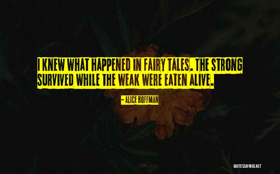 Maricarla Quotes By Alice Hoffman Maricarla Quotes By Alice Hoffman