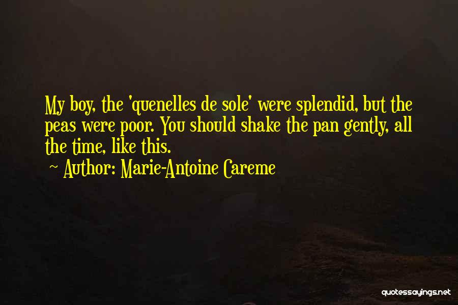 Marie-Antoine Careme Quotes 2148797