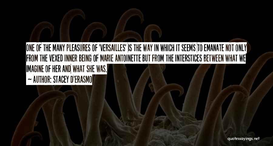 Marie Antoinette Versailles Quotes By Stacey D'Erasmo