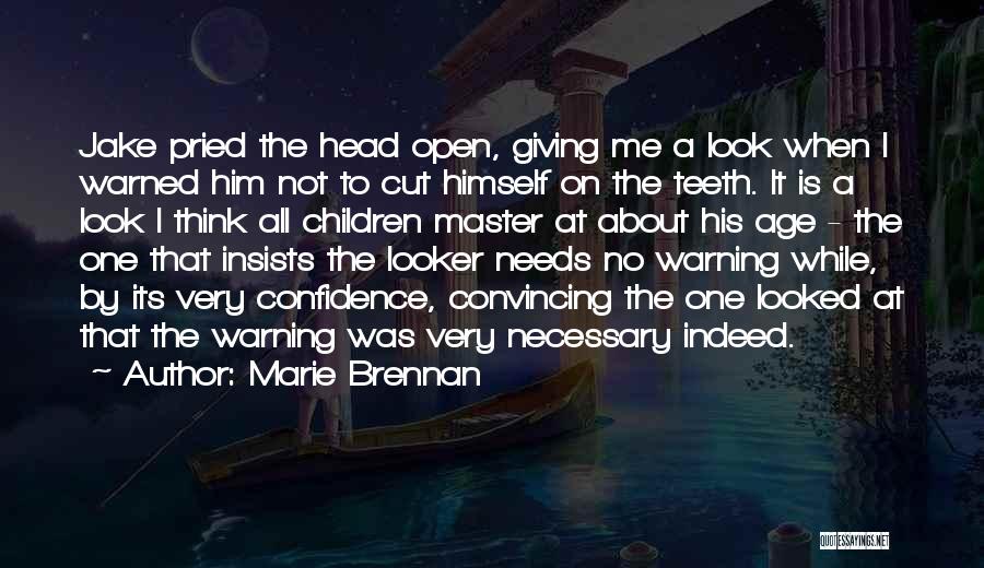 Marie Brennan Quotes 1529190