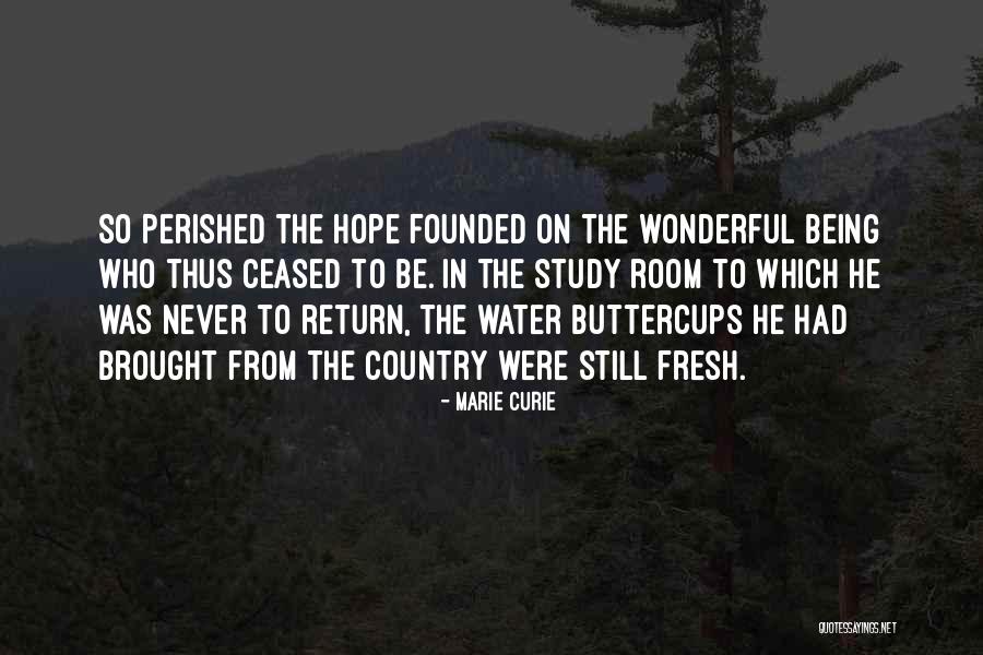 Marie Curie Quotes 2170128 Marie Curie Quotes 2170128